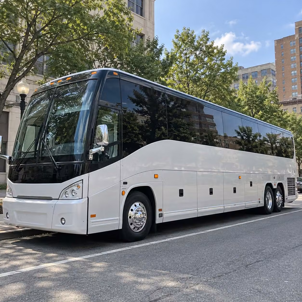 livonia prom homecoming transportation services